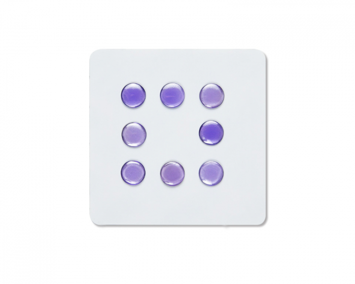 Unusual Way Sports Fox Gaze - Universal Dots - Lilla
