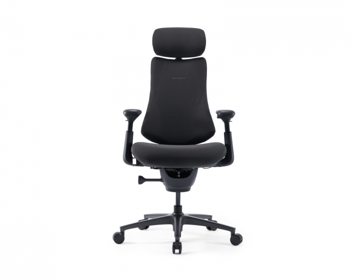 Libernovo Omni Pro Dynamic Ergonomisk Stol - Graphite Gray
