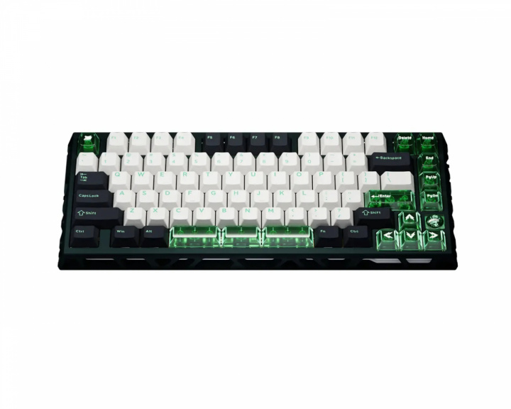 Gateron x Sikakeyb FORT 75 Limited Edition Magnetisk Tastatur - Grøn