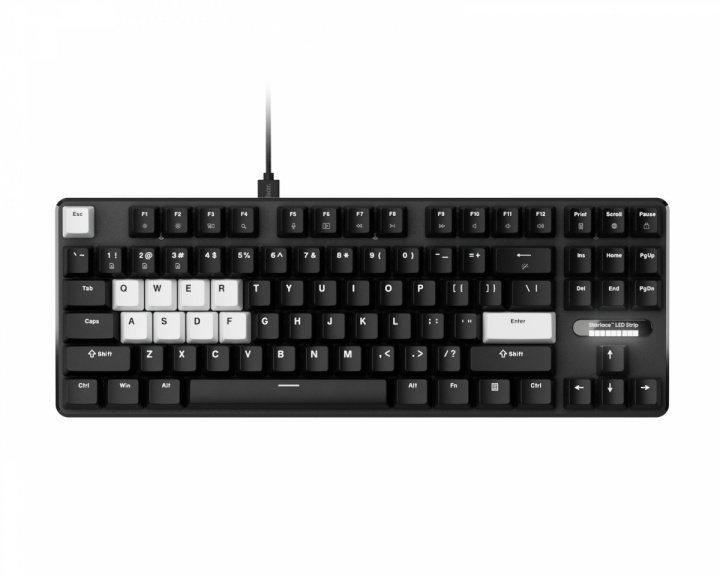  PCMK 3 HE TKL Magnetisk Tastatur ANSI - Sort
