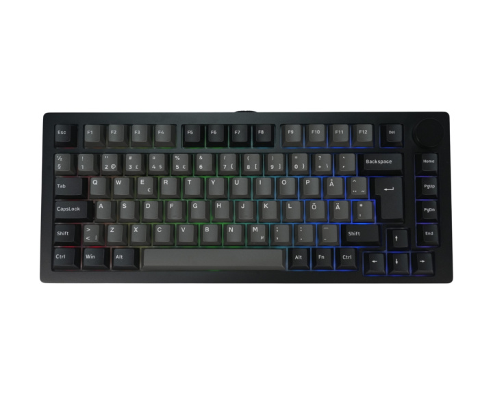  M1 V5 Trådløst Tastatur - Black & Silver [V3 Purple Pro Tactile]