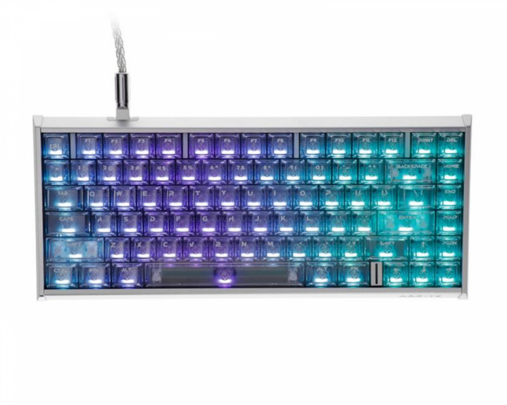 IPI QBZ 75 HE Tastatur - Silver (DEMO)
