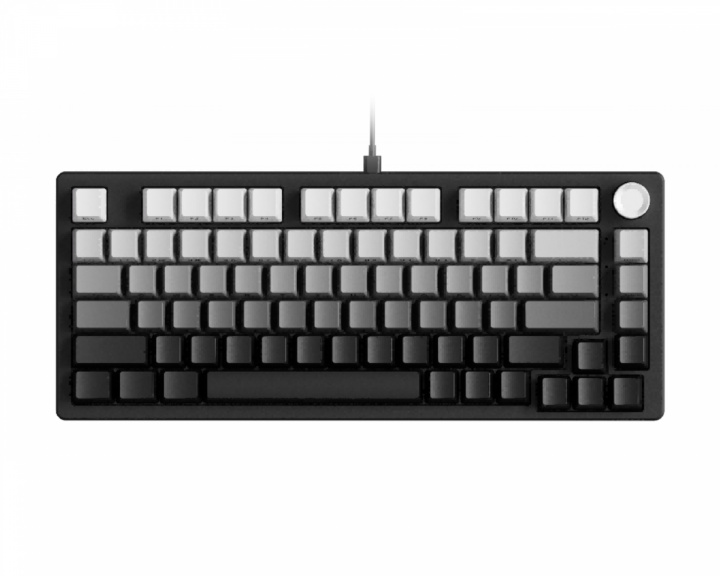 EWEADN DK75 Gamingtastatur ANSI - Gradient Black (DEMO)