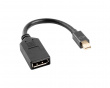 Displayport Mini Han til Displayport Hun Adapter