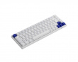 3068B Blue/White ISO Trådløs Tastatur [Akko CS Jelly Black] 