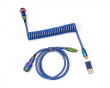 Premium Coiled Aviator Cable Type-C - Rainbow Plated Blue