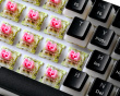 DK475 RGB 60% Hotswap Mekanisk Tastatur [Pink Linear] - Sort
