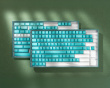 WS PBT Purquoise