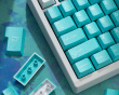 WS PBT Purquoise