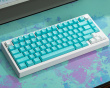WS PBT Purquoise