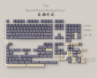 WS PBT Poker Keycap Set