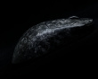 YING Forged Carbon Fiber Trådløs Gaming Mus - Sort