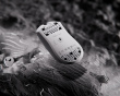 Cyclone Pro - Universal Mouse Skates - Dots 40 stk
