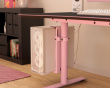 PC Mount - Pink