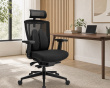Ergonomisk Lumbalstøtte - Sort