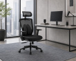 Ergonomisk Lumbalstøtte - Sort