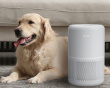 Core 300S Pro Smart HEPA Luftfugter