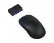 TenZ Medium Signature Edition 2.0 Gamingmus - Sort