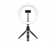 LIGHT - 10” Ring Light - Sort (DEMO)