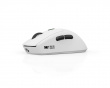 OGM Pro Wireless Gaming Mus - Hvid (DEMO)