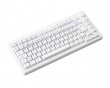 MOD007 PC V2 White/Blue Hotswap Tastatur [Akko CS Piano] (DEMO)