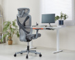 SpineX V2 Ergonomisk Kontorstol - Grå (DEMO)