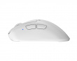 Xlite v4 Mini Trådløs Gaming Mus - Hvid (DEMO)