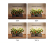 Hydroponisk Dyrkningssystem med LED – Indendørshave til 12 Planter (DEMO)