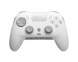 Envision Pro Wireless V2 (2025) Controller til PC - Hvid (DEMO)