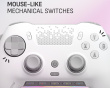 Envision Pro Wireless V2 (2025) Controller til PC - Hvid (DEMO)