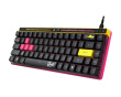 ROG Falchion Ace HFX ZywOo Edition Gamingtastatur [ROG HFX Magnetic] (DEMO)
