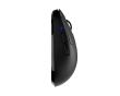 TenZ Mini Signature Edition 2.0 Gamingmus - Sort (DEMO)