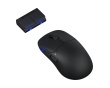 TenZ Mini Signature Edition 2.0 Gamingmus - Sort (DEMO)