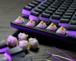 Custom Mechanical Keyboard Bundle - TKL - Sort